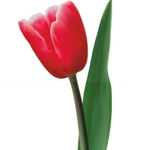 Holland Bloemen Shops Logo